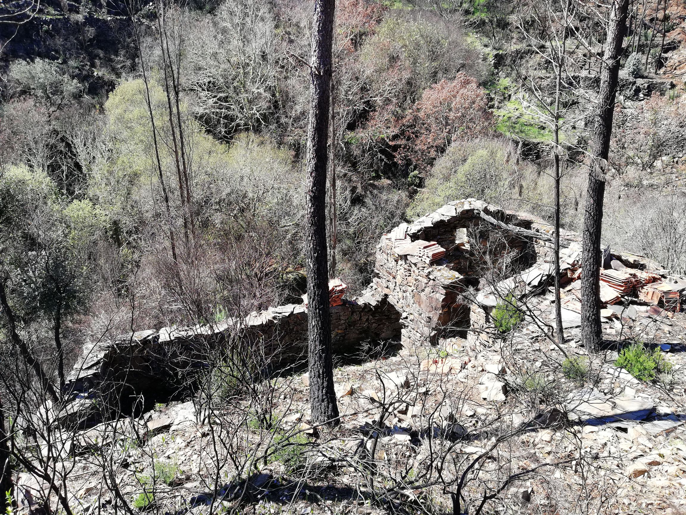 March 2018 Ruine2