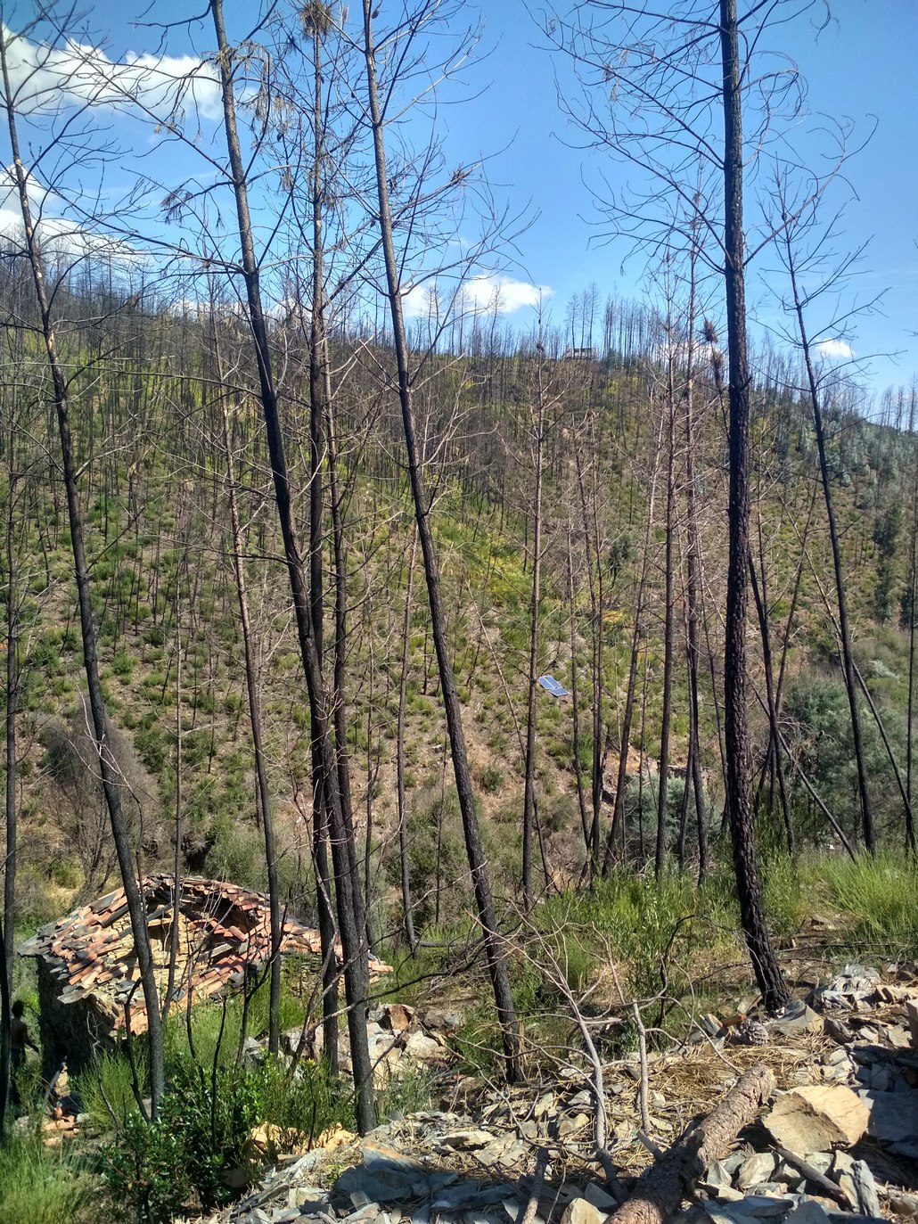 September 2018