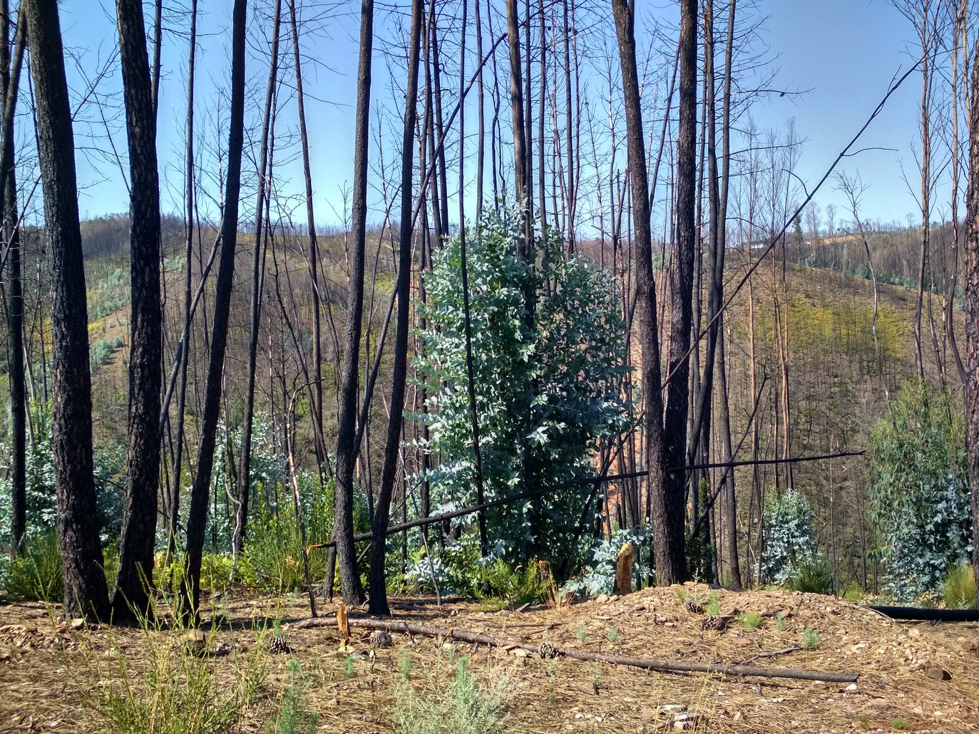 September 2018