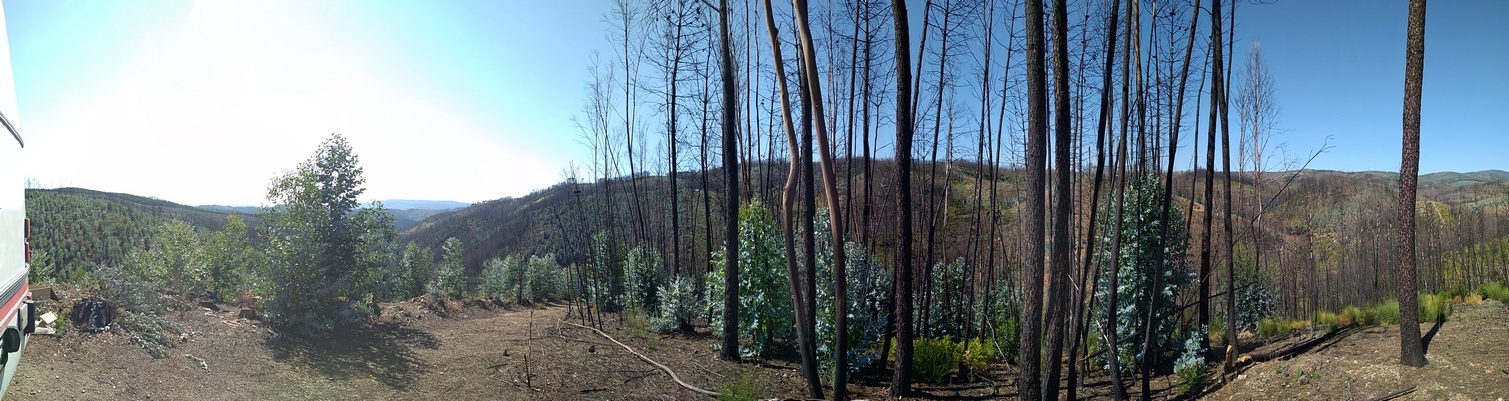 September 2018