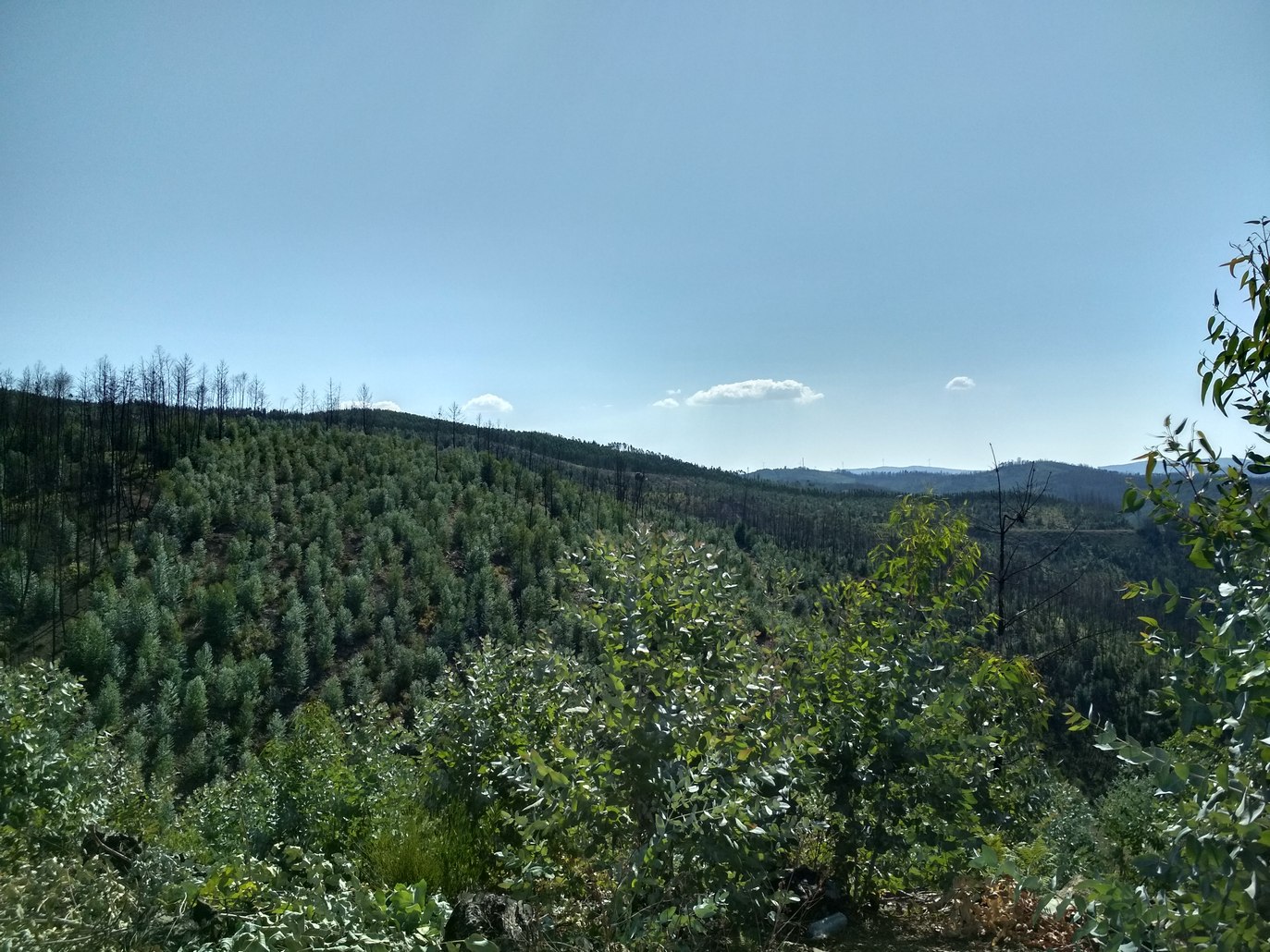 September 2018