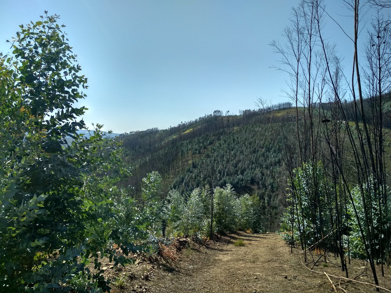 September 2018