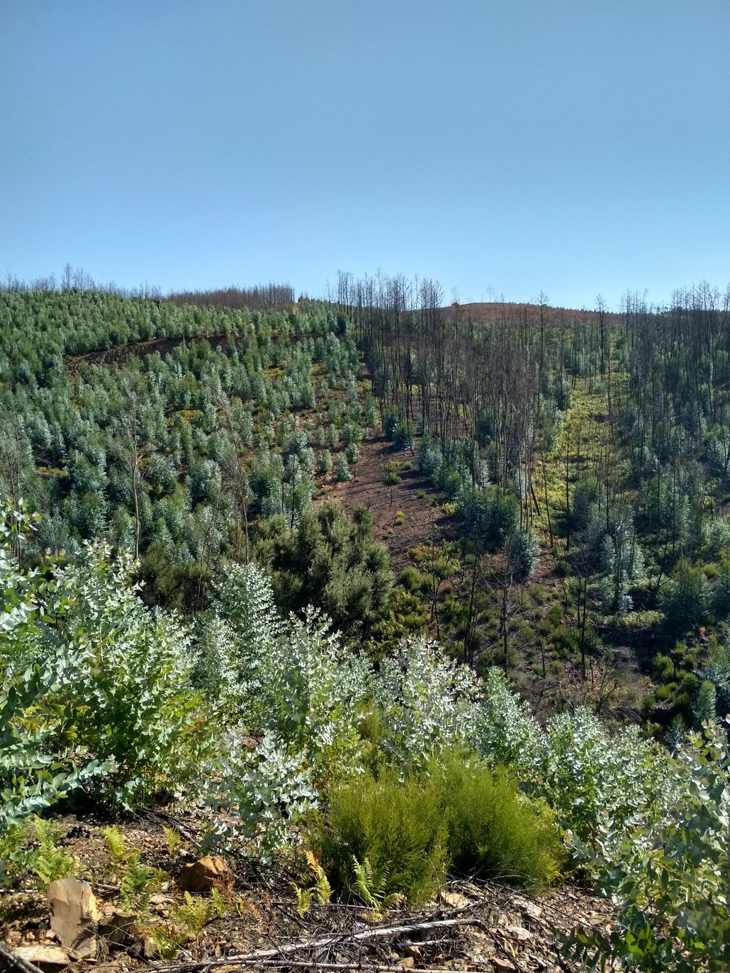September 2018