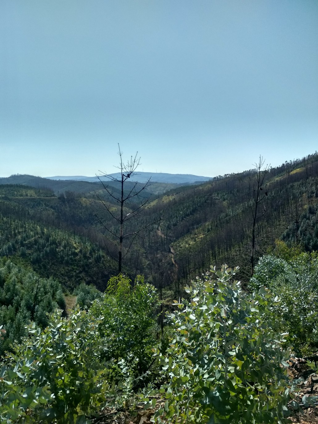 September 2018