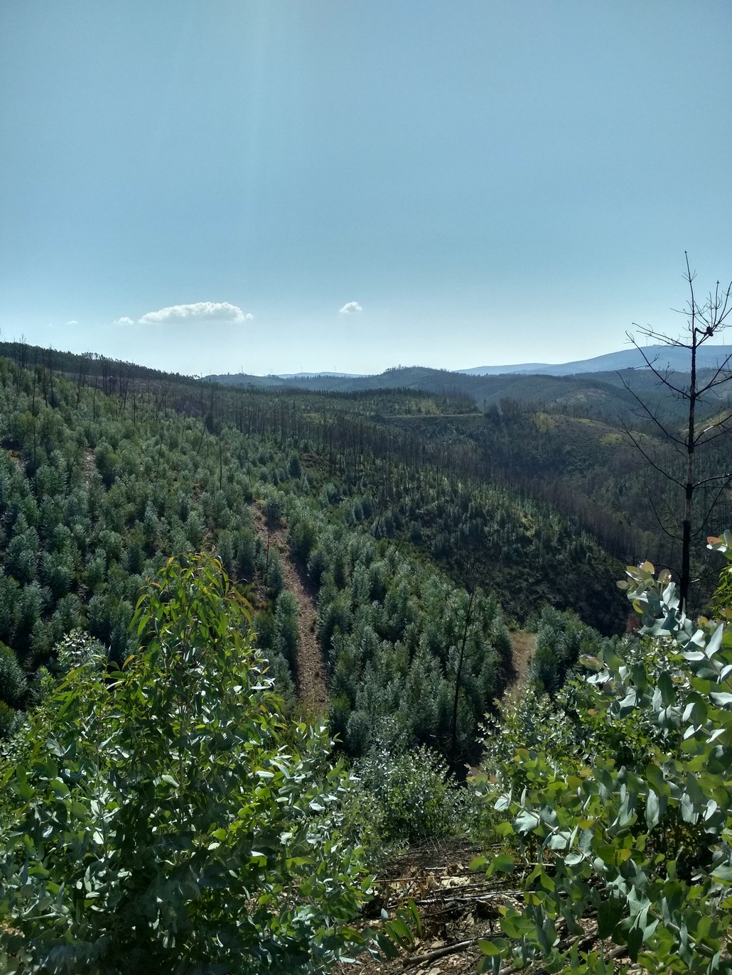 September 2018