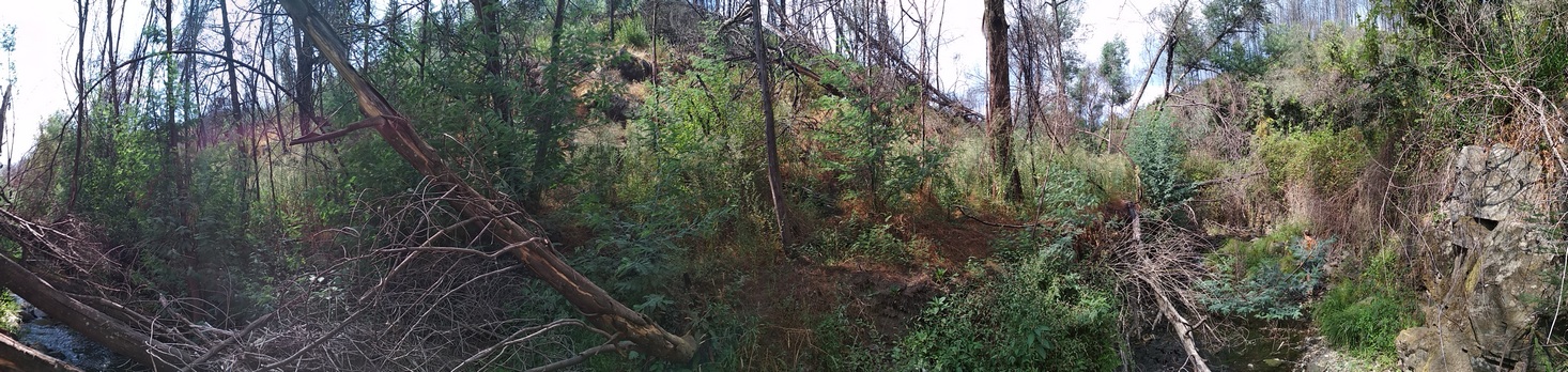 September 2018