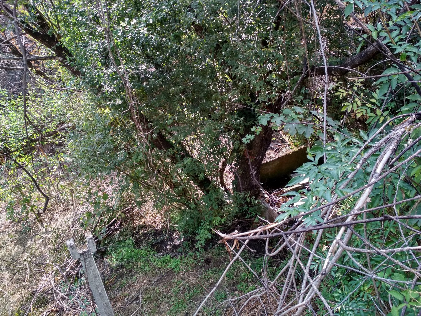 September 2018