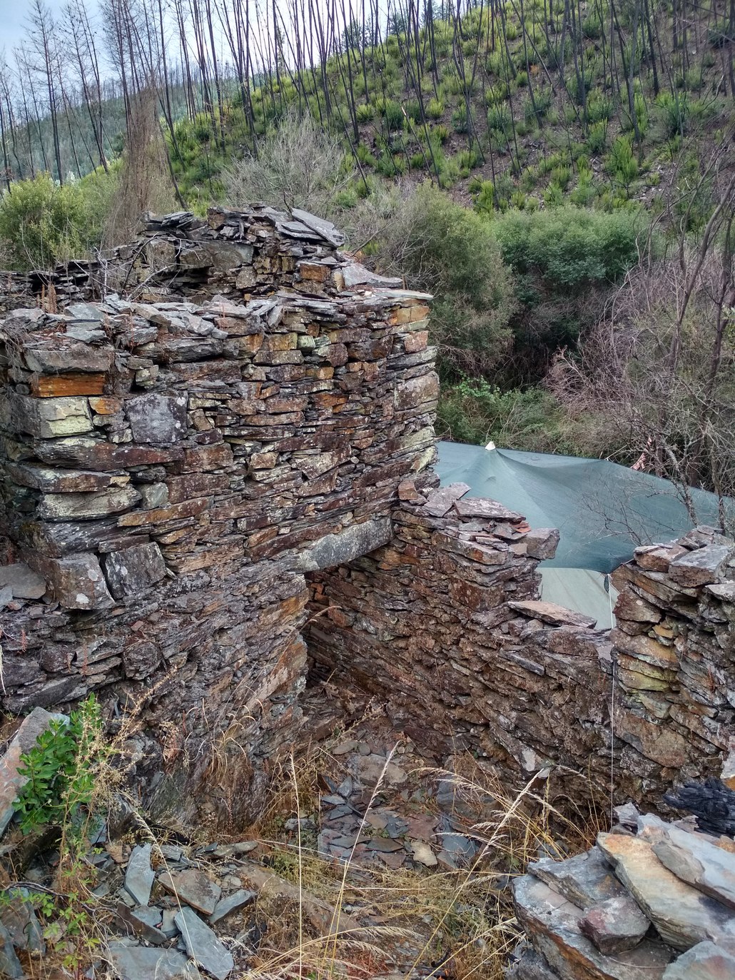September 2018